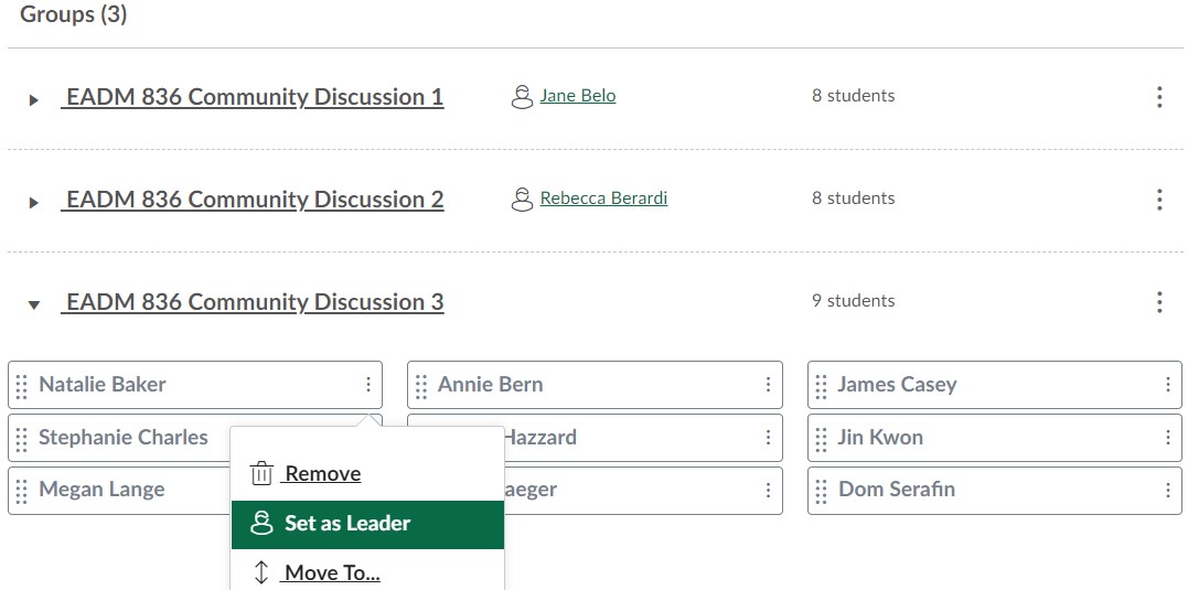 Screenshot of Canvas dashboard to add leaders