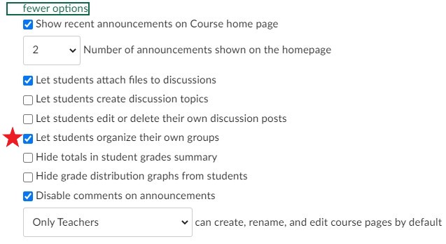 screen capture - course details groups settings