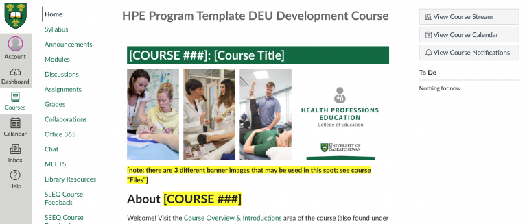 Screenshot of the “development” course.