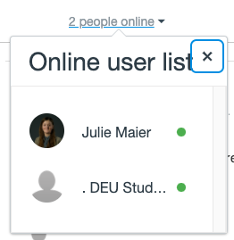 screen capture of online user chat list
